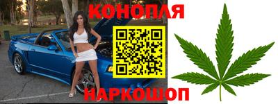 бошки Будённовск