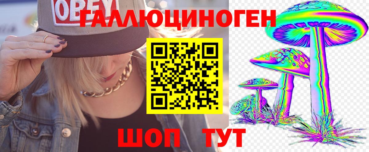 Галлюциногенные грибы GOLDEN TEACHER Энгельс